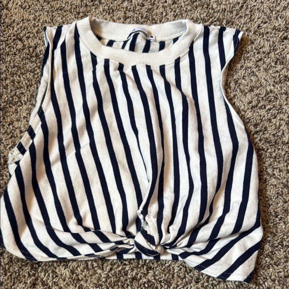 Zara Stripped Cropped Tank